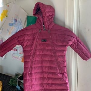 Puffer Patagonia bunting